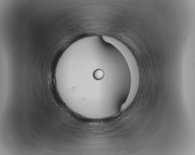 X0000115100693200911241234