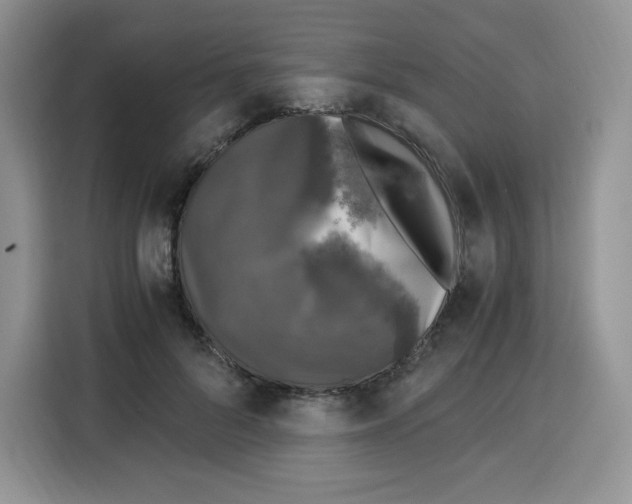 X0000115100696200911241234