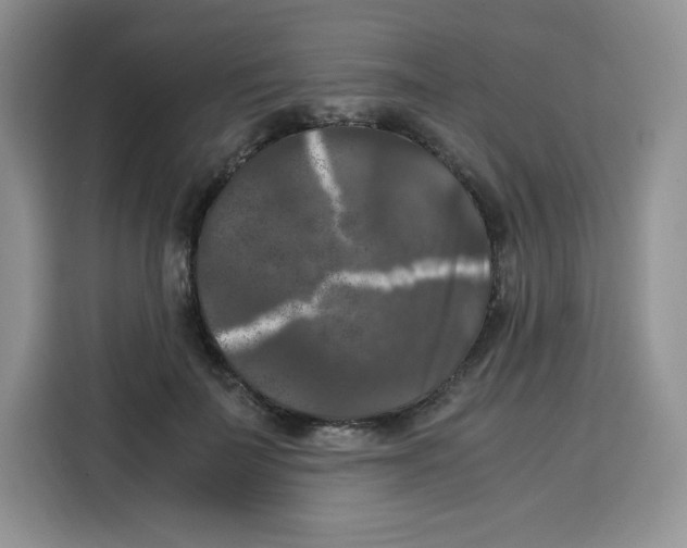 X0000115100699200911241234