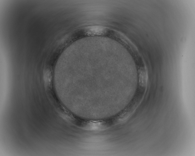 X0000115100701200911241234