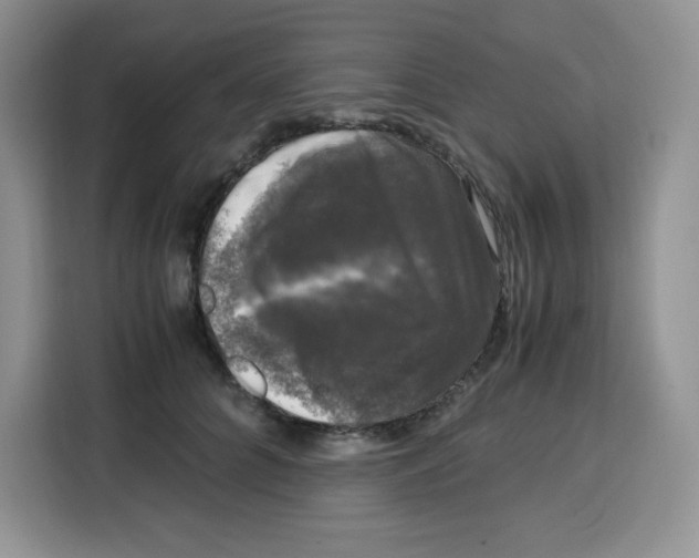 X0000115100704200911241234