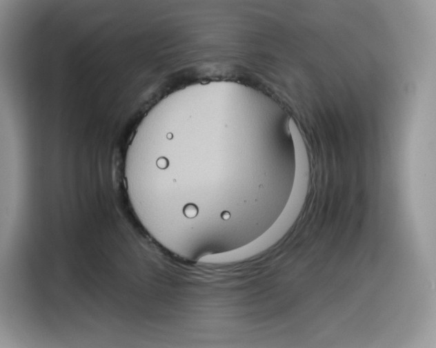 X0000115100712200911241233