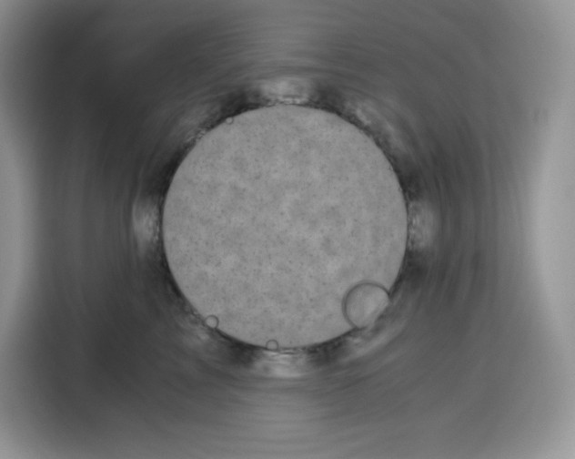 X0000115100713200911241233