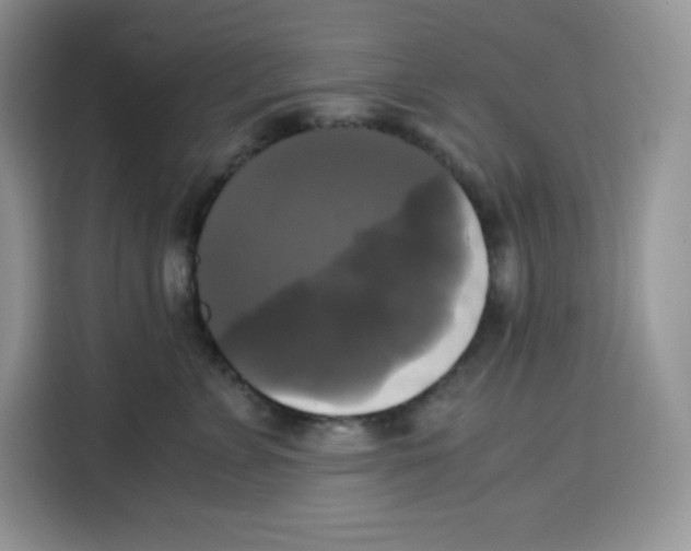 X0000115100715200911241233