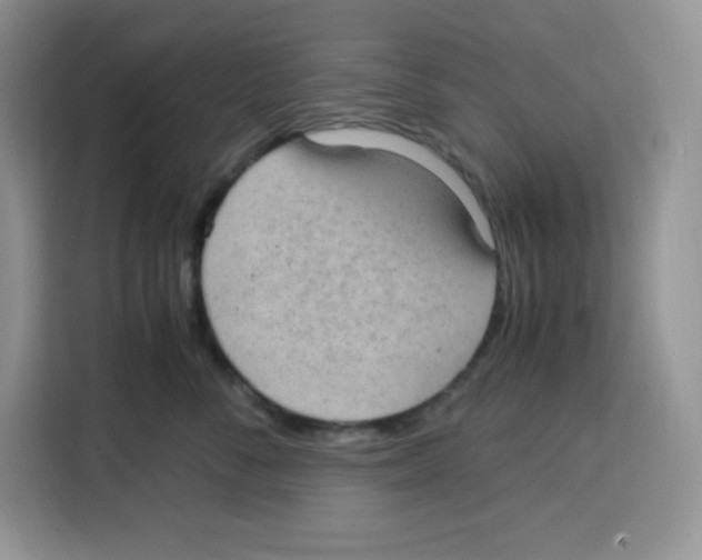 X0000115100716200911241233