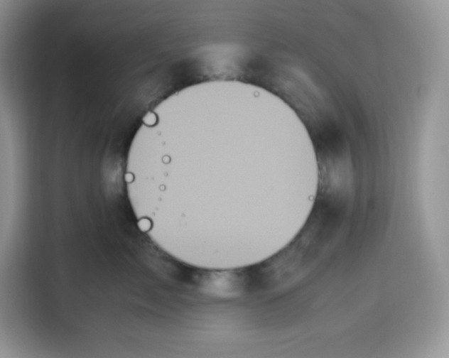 X0000115100717200911241233