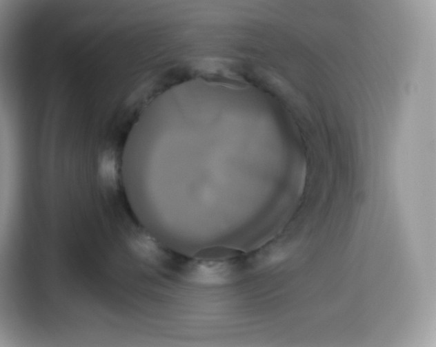 X0000115100720200911241233