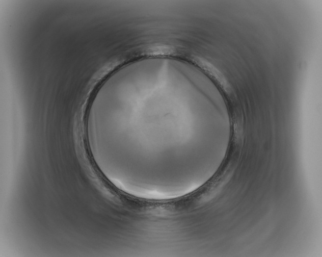 X0000115100721200911241233