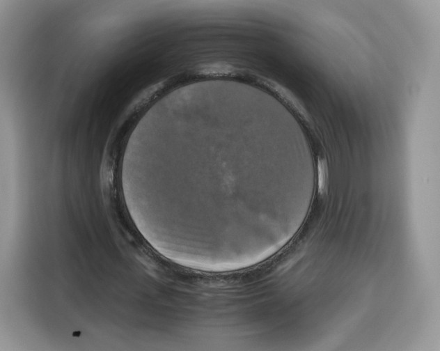 X0000115100723200911241233