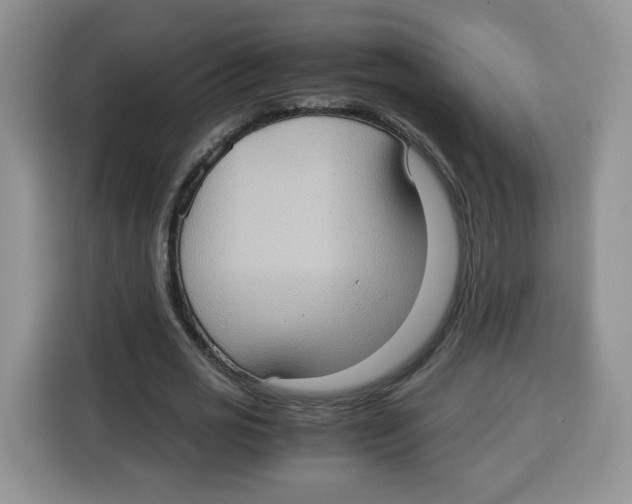 X0000115100725200911241233