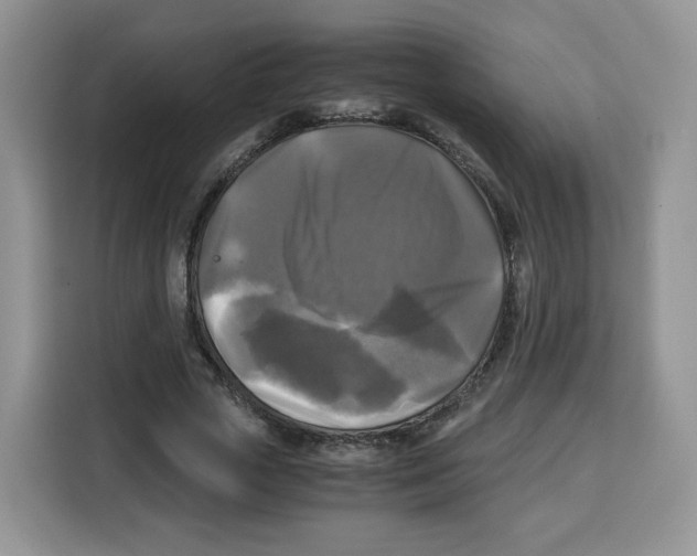 X0000115100729200911241233