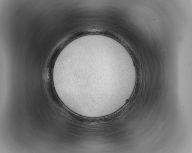 X0000115100731200911241233