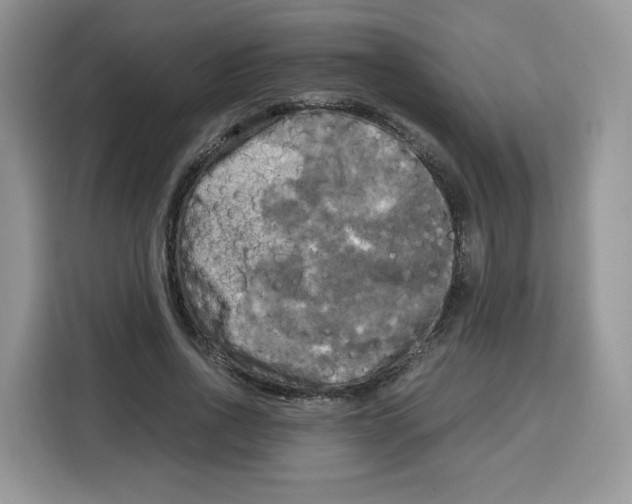 X0000115100734200911241233