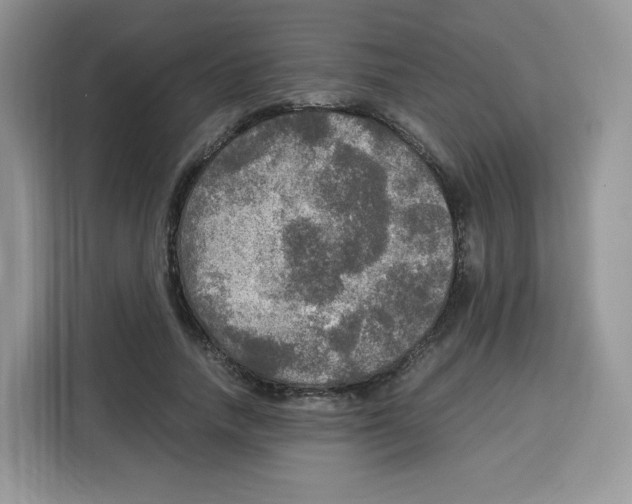 X0000115100738200911241233