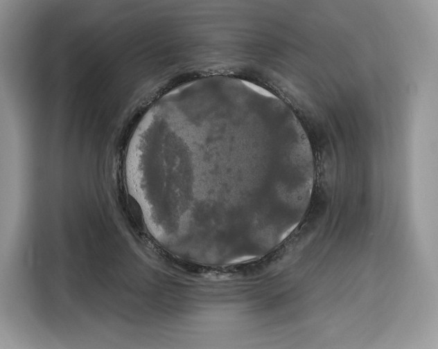 X0000115100742200911241233