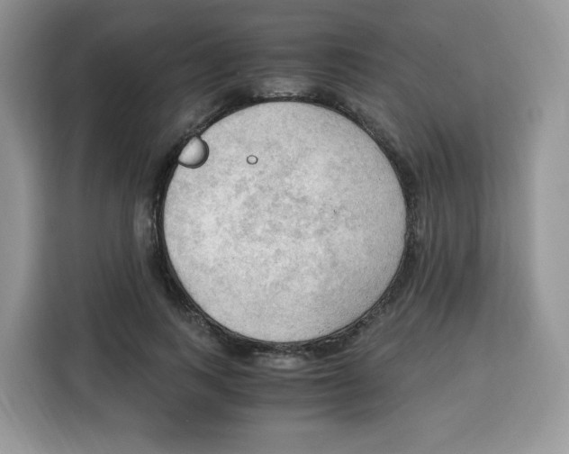 X0000115100743200911241233