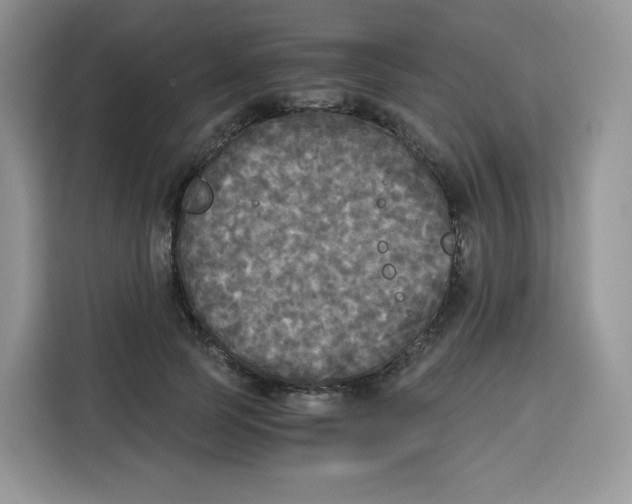 X0000115100745200911241233