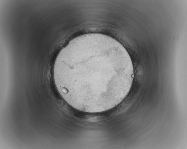 X0000115100746200911241233