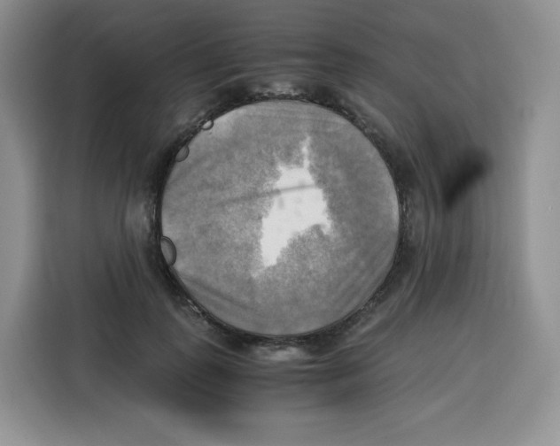 X0000115100747200911241233