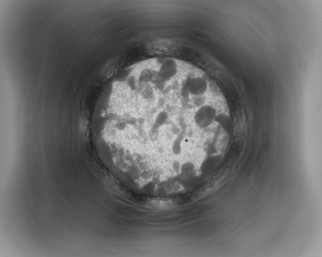 X0000115100749200911241233