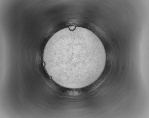 X0000115100751200911241233