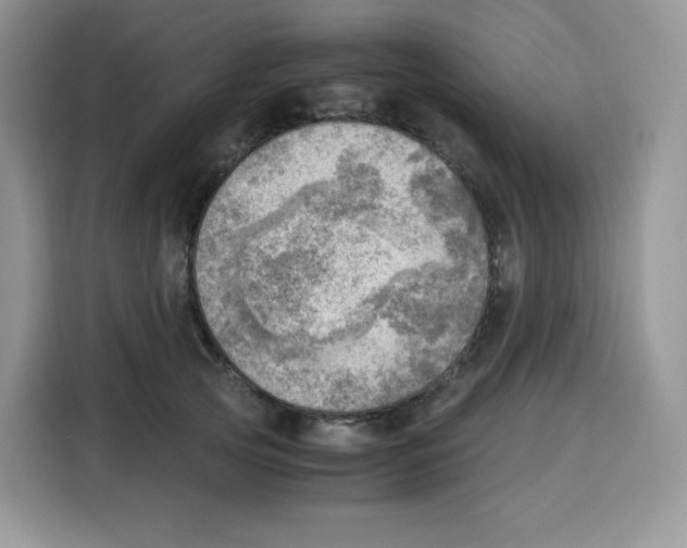 X0000115100753200911241233