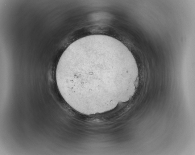 X0000115100755200911241233