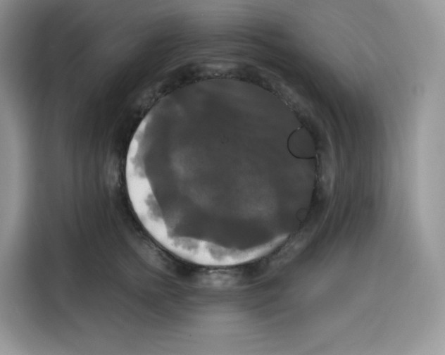 X0000115100758200911241233