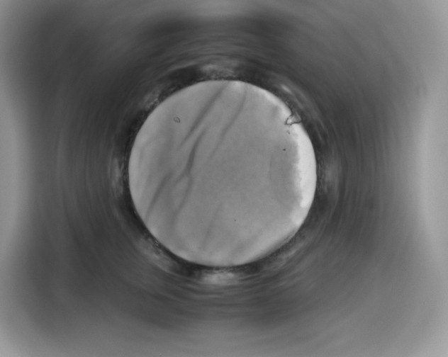 X0000115100759200911241233