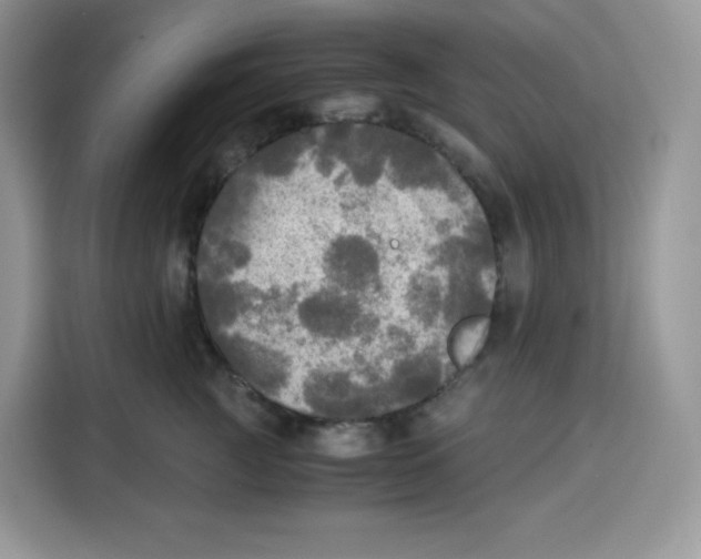 X0000115100761200911241233