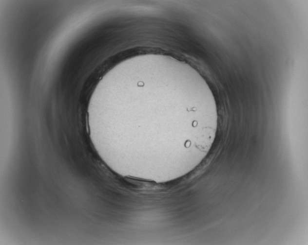 X0000115100762200911241233