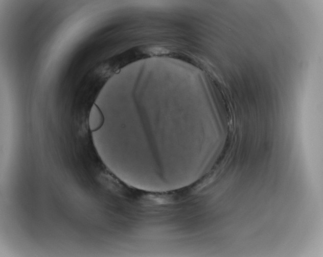 X0000115100763200911241233