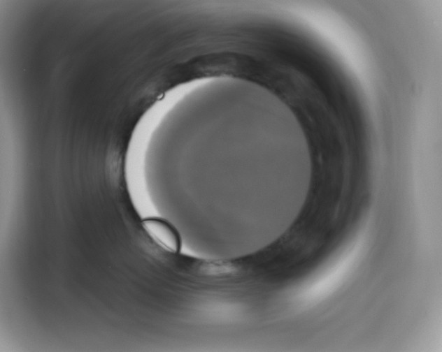 X0000115100767200911241233