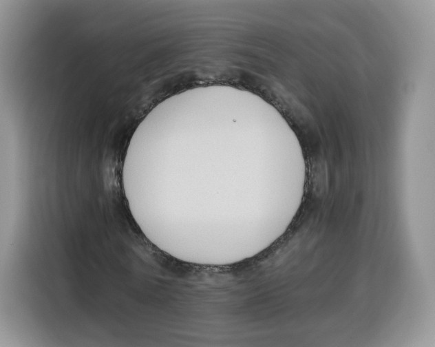 X0000115100770200911241233