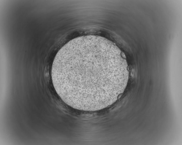 X0000115100771200911241233