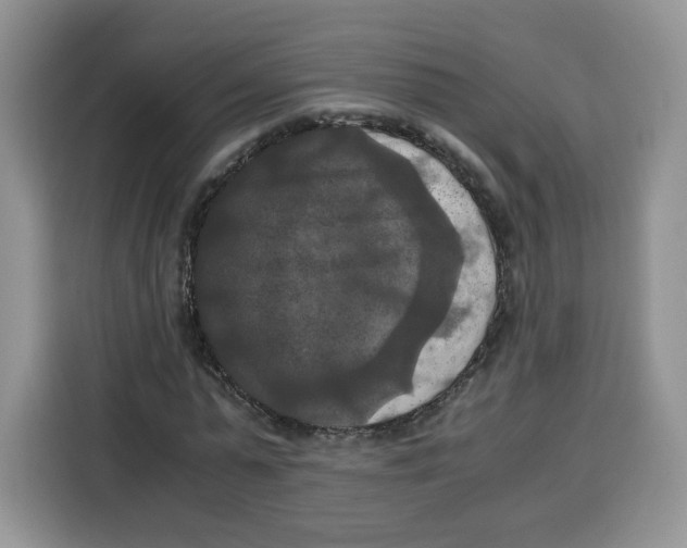 X0000115100775200911241233