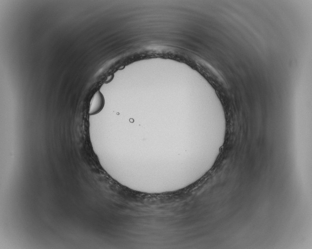 X0000115100776200911241233