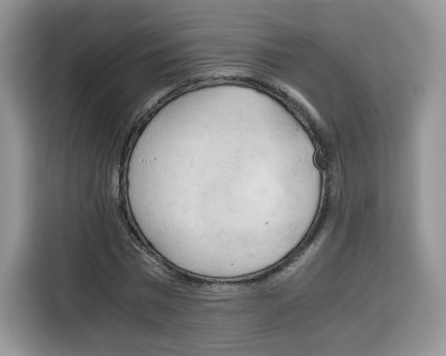 X0000115100777200911241233