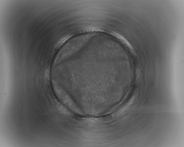 X0000115100785200911241233