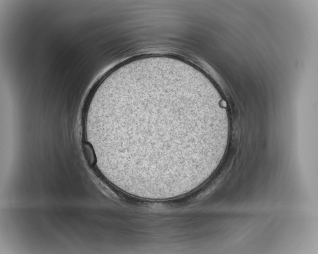 X0000115100787200911241233