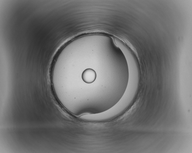 X0000115100789200911241232