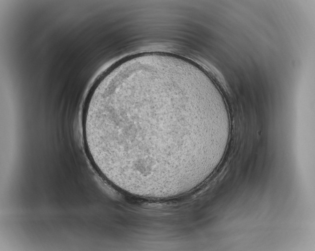 X0000115100792200911241232