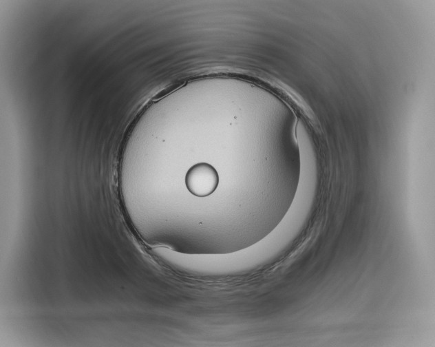 X0000115100793200911241232