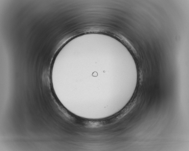 X0000115100794200911241232