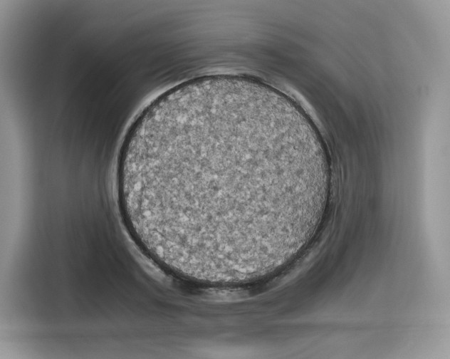 X0000115100795200911241232