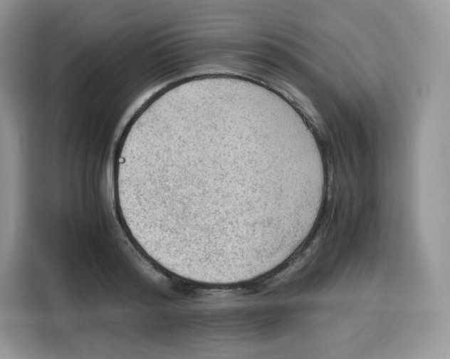 X0000115100796200911241232