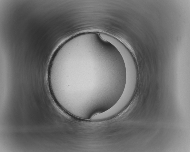 X0000115100797200911241232