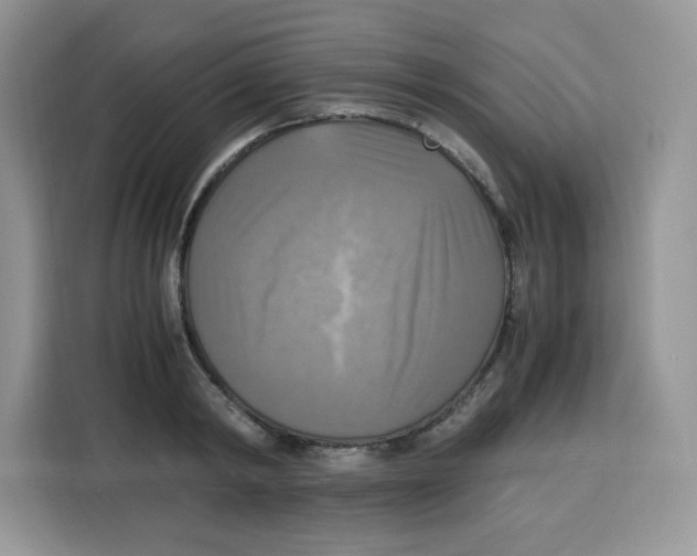 X0000115100798200911241232