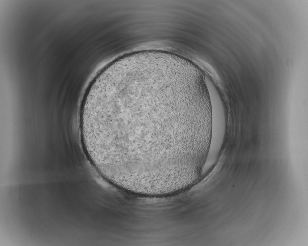 X0000115100800200911241232