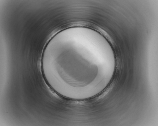 X0000115100802200911241232